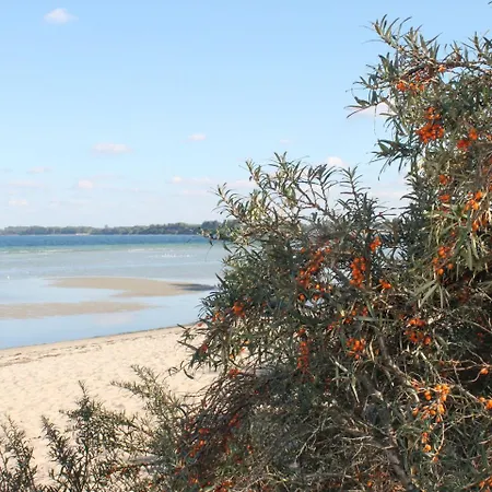 Gruppenurlaub Im In Fuer 12 Gaeste * Zierow